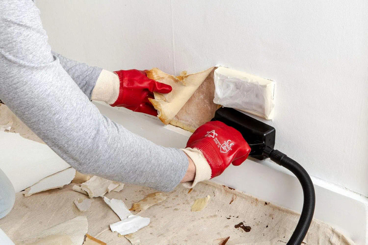 دستگاه بخار شوی واگنر WAGNER Steam Cleaner Model SteamForce Plus